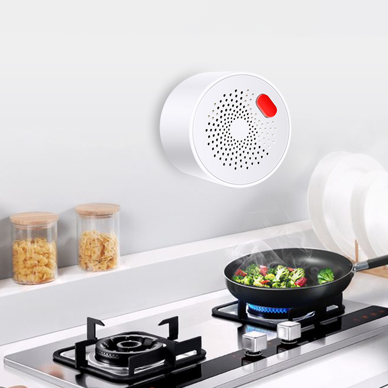 Tuya Smart Home Wifi Natural G - Home Security Device avaliação e preço